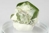 Green Olivine Peridot Crystal - Pakistan #185247-1